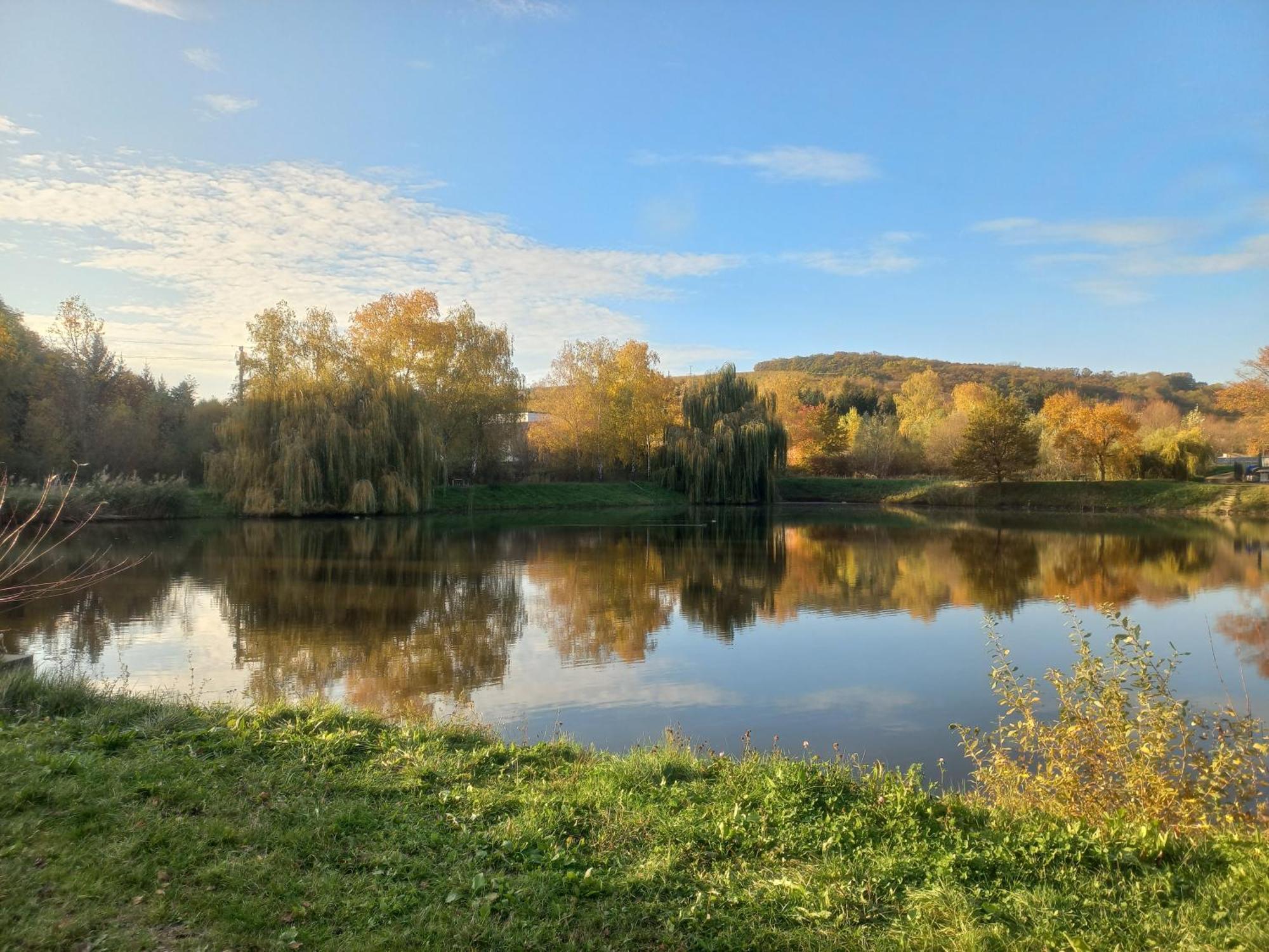 Penzion Ve Vinohrade Němčičky Kültér fotó